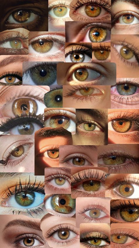 Pretty Eyes Color, Hazel Green Eyes, Eye Color Chart, Beautiful Eyes Color, Hazel Green, 얼굴 그리기, Types Of Eyes, Aesthetic Eyes, Hazel Eyes