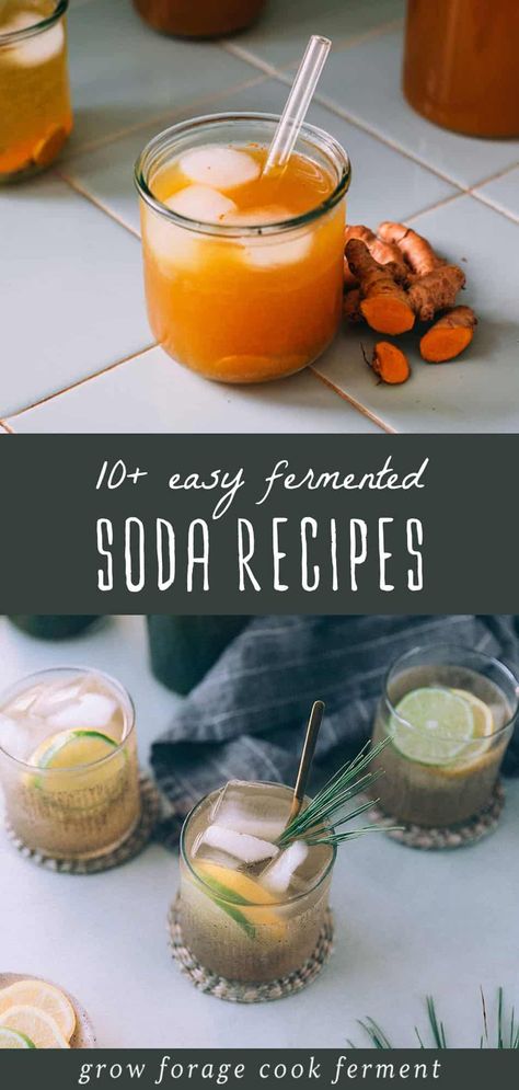 Here are 12 best fermented soda recipes. They're not only delicious but also pack a healthy probiotic punch. From pine needle to strawberry rhubarb, these sodas are perfect for health enthusiasts. Fermented with ginger bug, honey, or turmeric bug, they're a must-try from our Fermented Soda Recipes & Kombucha collection. Find more Fermentation for Beginners, Home Brewing Recipes, and Herbal Drink Recipes at growforagecookferment.com. Pine Soda Recipe, Diy Probiotic Soda, Fermented Soda Recipes, Vegan Fermented Foods, Gingerbug Soda Recipes, Ginger Bug Soda Flavors, Prebiotic Soda Recipe, Ginger Bug Recipe Sodas, Probiotic Drink Recipes