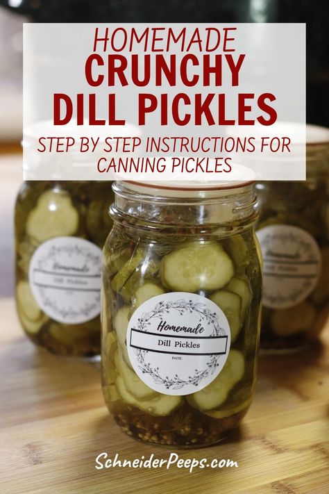 Learn how to can your own delicious dill pickles with our easy-to-follow recipe! Crunchy cucumbers, aromatic dill, and tangy brine combine for homemade perfection. Preserve the flavors of summer with this canning favorite Crunchy Pickles Canning, Crunchy Dill Pickle Recipe, Crispy Dill Pickles, Crunchy Dill Pickles, Canning Pickles Recipe, Homemade Dill Pickles, Dill Pickles Recipe, Making Dill Pickles, Crunchy Pickles