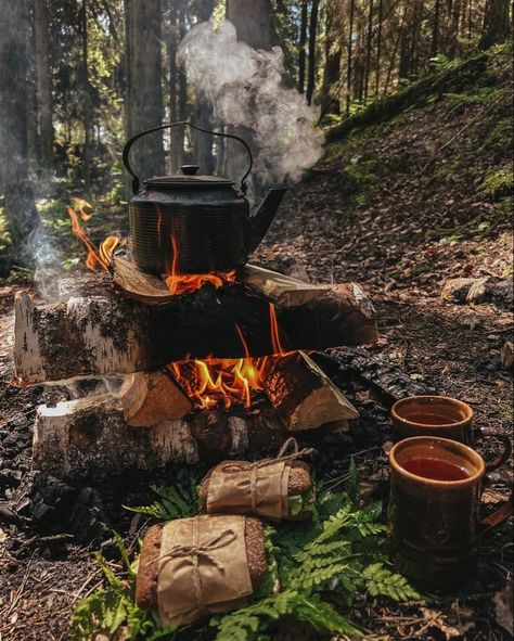 Camping Inspiration, Camping Vibes, Camping Photography, Camping Aesthetic, Fall Camping, Bushcraft Camping, Adventure Aesthetic, Open Fire, Camping Life