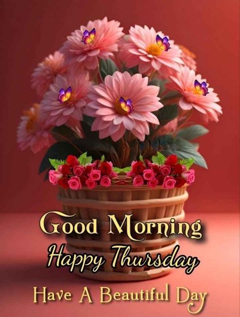 Thursday Wishes, Wish Good Morning, Good Thursday Morning, Happy Thursday Morning, Good Morning Thursday Images, Christian Good Morning Quotes, Good Night Friends Images, Good Morning Happy Thursday, Good Thursday