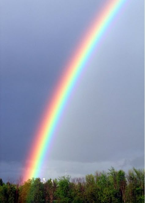 Vibrant colors of the Rainbow Rainbows In The Sky, Rainbow Rain, God's Promise, Wallpaper Disney, Rainbow Connection, Double Rainbow, Rainbow Sky, Somewhere Over The Rainbow, Love Rainbow