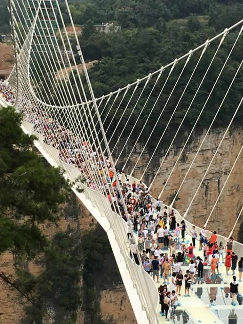 Incredible ‘Zhangjiajie‘ Glass Bridge in China Zhangjiajie Glass Bridge, Glass Bridge China, Zhangjiajie China, China Trip, Glass Bridge, Sky Bridge, Zhangjiajie, Haim, The Grand Canyon