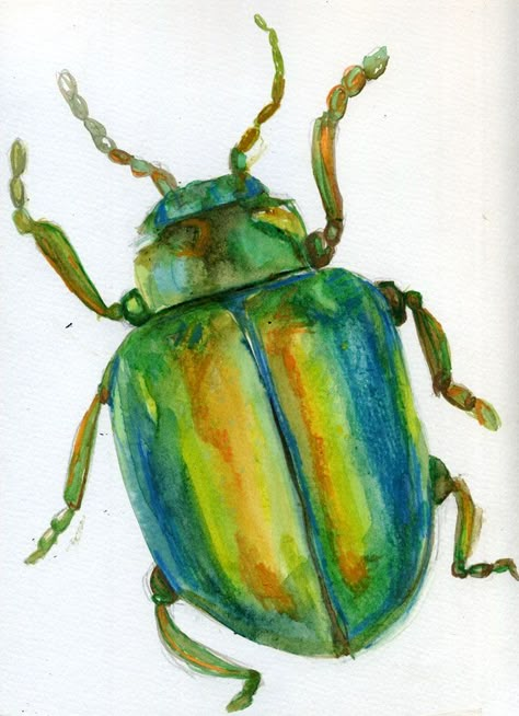 Beetle Watercolor Insects, Beatle Paintings Insect, Beetle Drawing Reference, Drawing In Oil Pastels, Bug Watercolor Painting, Insect Watercolor Painting, Painting Inspiration Watercolor, Cute Beetle Drawing, Watercolor Doodles Journaling