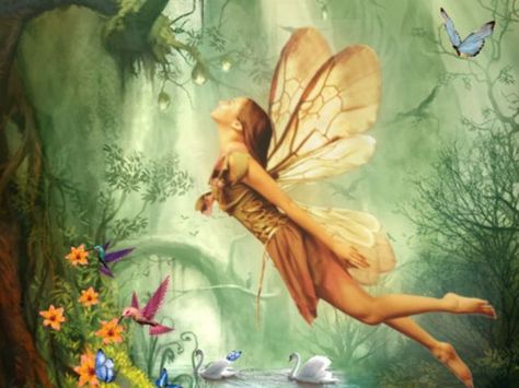 I got: Fairy! What Mythical Creature Would You Be? Medieval Lady, Random Quizzes, Playbuzz Quiz, Water Fairy, Types Of Fairies, Fairy Stories, Humanoid Creatures, Magical Creature, Online Quizzes