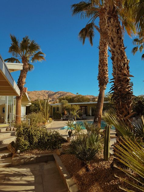 Adults-Only Mid-Century Modern Hotel With Mineral Pools Near Palm Springs Post Malone Tour, Mid Century Hotel, Palm Springs Resorts, Spring Architecture, Palm Springs Aesthetic, Desert Vacation, Cruise Italy, Oasis Springs, Victoria House