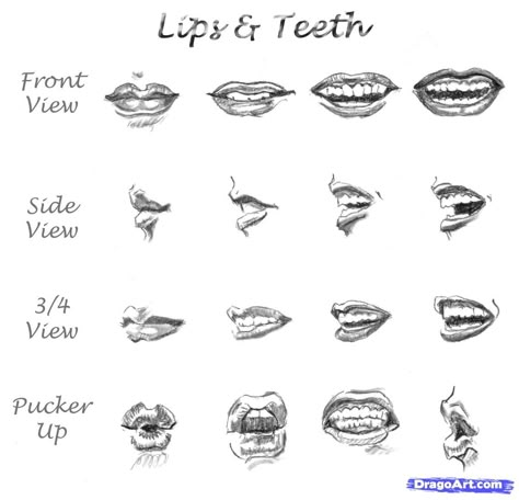 Lips Step By Step, How To Draw Lips, Lips Sketch, Drawing Lips, Draw Lips, Draw Realistic, Mouth Drawing, How To Shade, Lips Drawing