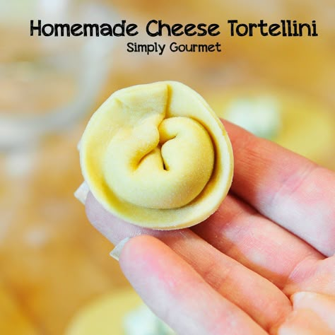 Homemade Tortellini, Pasta From Scratch, Pasta Food Recipes, Homemade Pasta Recipe, Filled Pasta, Tortellini Recipes, Pasta Making, Homemade Noodles, Sausage Soup