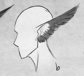 Wings Human, Half Bird Half Human Drawing, Bird Person Reference, Winged Ears Drawing, Tail Feathers Drawing, Bird Tail Reference, Fantasy Ears Reference, Head Wings Drawing, Head Wings Reference