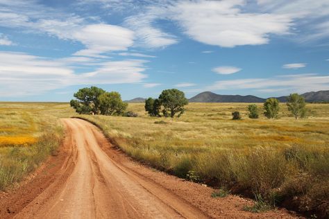 #countryside #dirt road #grass #landscape #outdoors #road #rural #scenic #soil #trees Prayer Of Confession, Doomsday Bunker, It's A Wonderful World, The Thorn Birds, Road Pictures, Dirt Roads, Grasses Landscaping, Countryside Landscape, Beautiful Scenery Pictures