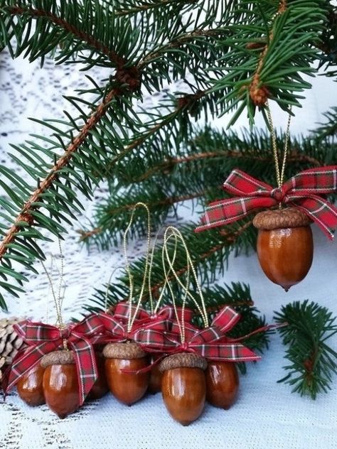 Christmas Ornaments, Real Natural Acorn Ornaments, Christmas Tree Decor, Christmas Tree Ornament, Holiday Decor, Custom Ornaments ~ Set of 8 This listing is for a set of 8 Christmas ornaments made using real natural oak acorns. Acorns have been washed and disinfected, so they are dirt and pest-free. Every acorn cap has been glued back onto the acorn. They have all been buffed by hand and polished to make them shine. Approximately measure on average 1.25 inch with cap. Each acorn comes with a gol Tree Decor Christmas, Acorn Ornaments, Acorn Crafts, Christmas Tree Decorating Themes, Decor Christmas Tree, Ornaments Christmas Tree, Custom Ornaments, Real Christmas Tree, Ribbon On Christmas Tree