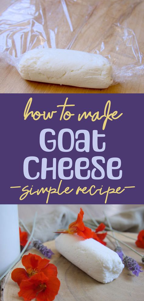 How to make a simple goat cheese How To Make Goat Cheese, Homemade Goat Cheese, Chevre Cheese, Cheese Recipes Homemade, Cheese Making Recipes, Goat Milk Recipes, Goat Recipes, Spreadable Cheese, Goat Cheese Recipes