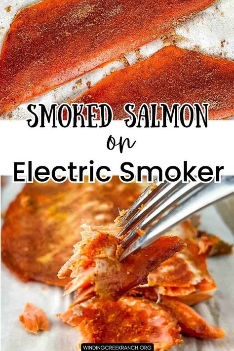 Easy Masterbuilt Smoker Salmon Recipe Salmon In A Smoker, Smoked Salmon Recipes Electric Smoker, Smoked Salmon Seasoning, Pellet Smoker Salmon Recipes, Smoker Salmon Recipes, Smoker Salmon, Smoked Fish Recipe, Smoker Grill Recipes, Smoked Ham Recipe