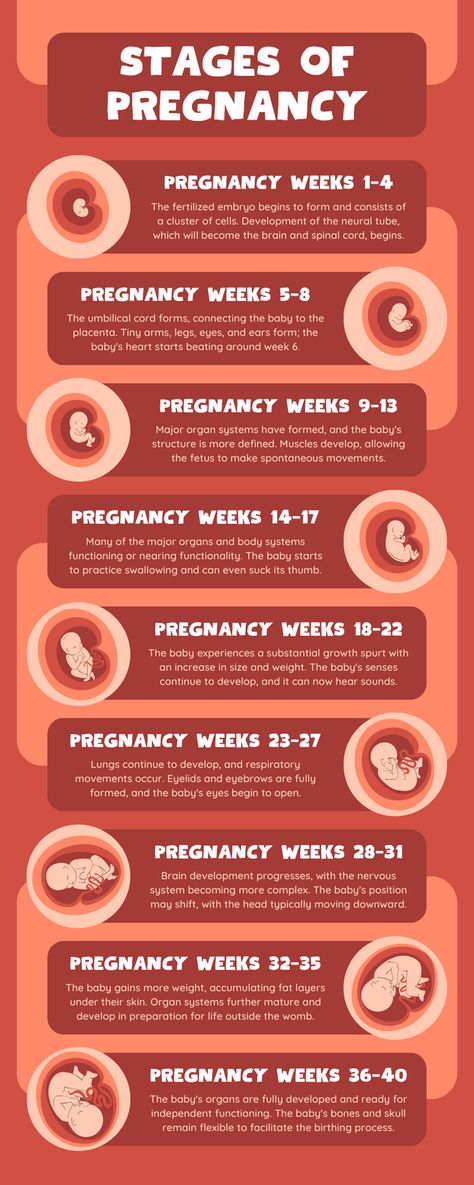 Stages Of Pregnancy Weekly, Fitness Ebook, Planning To Get Pregnant, Getting Pregnant Tips, Postpartum Care Kit, Pregnancy Facts, Stages Of Pregnancy, Supplement Guide, Pregnancy Fitness