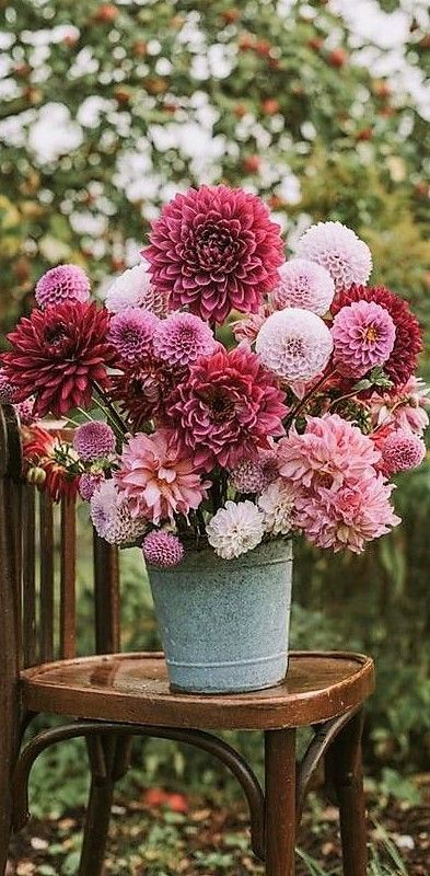 Sell Flowers, Flowers Vase, Parrot Tulips, Autumn Flowers, Wildflower Garden, Buy Flowers, Bus Station, Flower Farm, Garden Gates