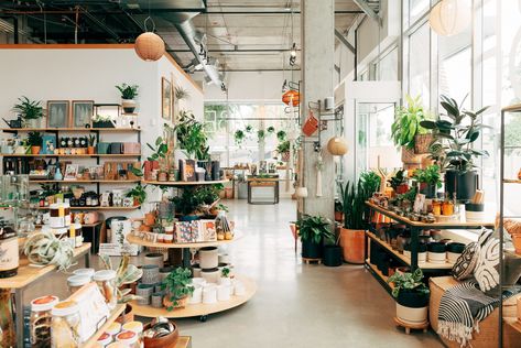 How to buy a retail space: Your guide to getting started Retail Wall Design, Cozy Store Interior, Boutique Decor Ideas Retail Store Design, Small Gift Shop Interiors, Mini Boutique Store Ideas, Apartment Homestead, Concept Store Ideas, Retail Shop Design, Retail Display Ideas