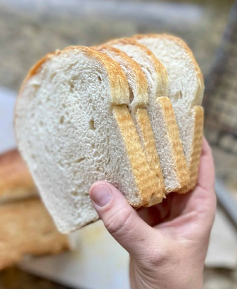 The Best Sourdough Discard Sandwich Bread - Amy Bakes Bread Soft Sandwich Bread Recipe, Sourdough Discard Sandwich Bread, Discard Sandwich Bread, Sandwhich Bread, Sourdough Starters, Sourdough Discard Recipe, Sourdough Starter Discard Recipes, Starter Bread, Starter Discard Recipes