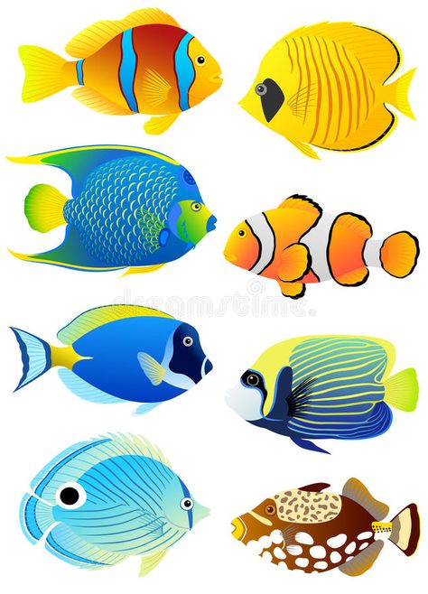 Tropical Fish Pictures, Fish Tropical, Fish Vector, Fish Stock, Fish Drawings, Fish Painting, Colorful Fish, Fish Art, Tropical Fish