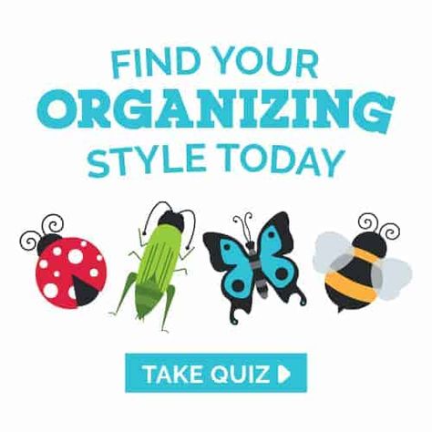 Clutterbug Quiz, Cricket Organization Style Clutterbug, Clutterbug Cricket Organization, Bee Organization Style Clutterbug, Clutterbug Ladybug Organization, Butterfly Organization Style Clutterbug, Clutterbug Butterfly, Ladybug Organization, Clutterbug Organization