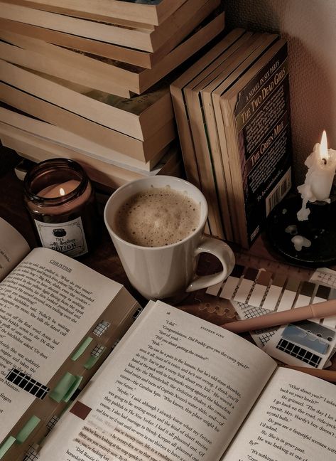 Acedamia Aesthetic, Last Day Of November, Dark Academy Aesthetic, Studying Aesthetic, Reading Motivation, Light Academia Aesthetic, Aesthetic Dark Academia, Book Writing Inspiration, Book Writing