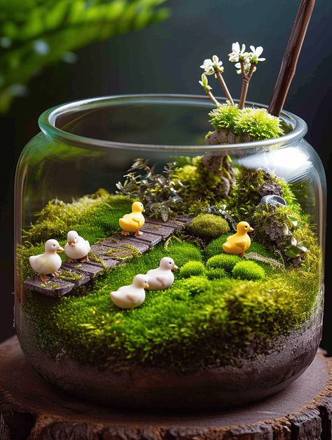 Best Terrarium Plants, Fairy Terrarium, Plant Styling, Small Terrarium, Plants In Jars, Mini Zen Garden, Beautiful Terrariums, Succulent Garden Design, Mini Terrarium