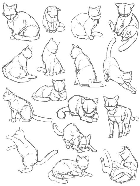 Animal Drawings Reference, Cat Loaf Drawing Reference, Cat Sketch Reference, Cat Sketch Poses, Anime Cat Pose Reference, Animal Anatomy Sketch, Cats For Drawing, Comic Cat Drawing, Cat Rubbing Against Leg Drawing