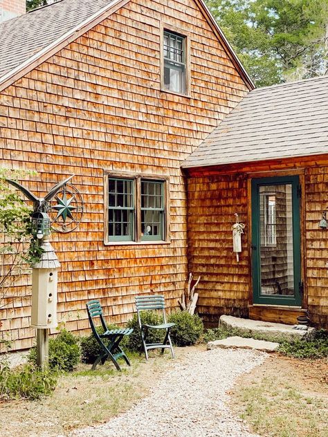 Cedar Shakes are so beautiful and long-lasting wood shingles that are so often seen on coastal homes.If left untreated, they will naturally gray as seen here. If the cedar shakes are not cleaned on a regularly basis (every 3-5 years), mold and mildew will set in over time, which is what happened to our home here in coastal Maine, that we recently inherited from my parents. Before    Cedar Shake Siding Weathered almost 30 years. Cedar Wash Wood Cleaner    We wanted to restore the cedar… Cedar Shake Shingles, Cedar Shingle Siding, Cedar Shake Siding, Shingle House, Shake Shingle, Cedar Shake, Shake Siding, Cedar Shakes, Wood Cleaner