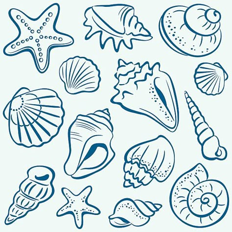 Seashell Drawing, Shell Drawing, Beach Drawing, Nautical Pattern, Small Wall Art, Shell Collection, Painted Shells, Surf Art, Seamless Background