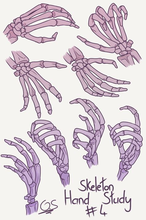 Skeleton Drawing Reference, Skeleton Hands Drawing, Skeleton Drawing, Hand Skeleton, Artist Reference, Hands Drawing, Skeleton Anatomy, Skeleton Drawings, Body Drawing Tutorial