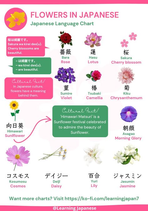 @Learning Japanese 🇯🇵 on Twitter: "Flowers in Japanese! 🌸💐 #Japan #Japanese #langtwt https://t.co/7Id2cq4TkN" / Twitter Japanese Flower Names, Names In Japanese, January Flower, Learning Japanese, Flower Names, Japanese Names, Japanese Flowers, Learn Japanese, Japanese Language