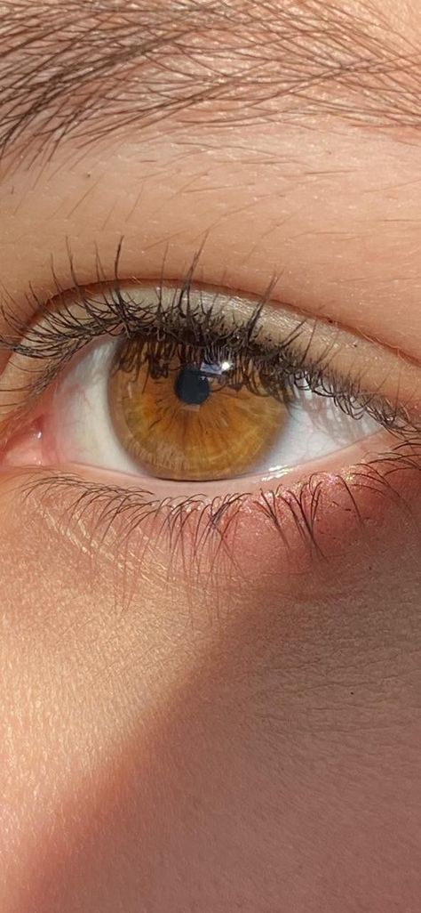 Cognac Eyes Color, Hazel Amber Eyes, Pale Brown Eyes, Cognac Brown Eyes, Hazel Eyes Women, Golden Amber Eyes, Hazel Brown Eyes Aesthetic, Brown Eyes With Gold Flecks, Brown Eyes Aesthetic Girl