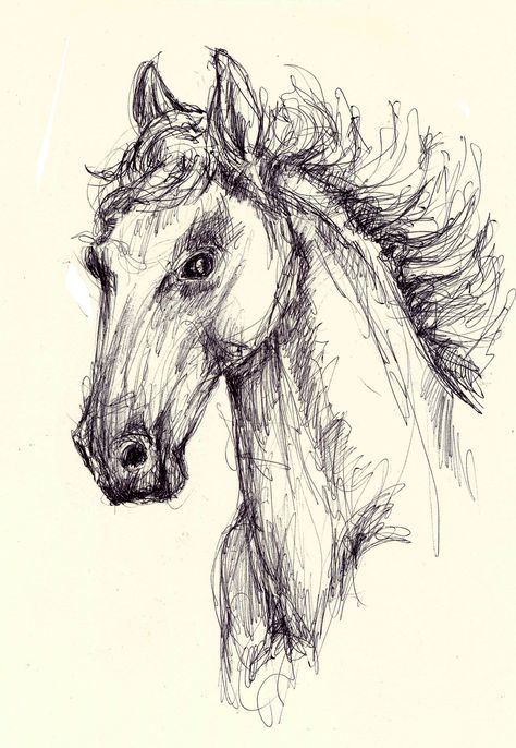 Uniball gel pen doodle of a horse Black Pen Drawing, Horse Art Drawing, Ballpoint Pen Art, Pen Art Work, Ballpoint Pen Drawing, Horse Sketch, Pen Art Drawings, Animation Art Sketches, Pen Drawings