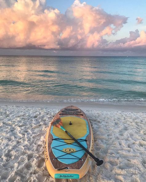 The Best Beaches on the Gulf Coast of Florida | Beautiful beaches, Gulf coast beaches, Florida gulf coast beaches Florida Gulf Coast Beaches, Gulf Coast Beaches, Beach Pink, Gulf Coast Florida, Coastal Lifestyle, Beach Beauty, Beach Lifestyle, Summer Inspo, Florida Beaches