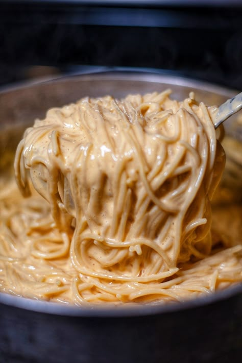 Spaghetti And Cheese, Coop Can Cook, Cheesy Pasta Recipes, Cheese Noodles, Creamy Spaghetti, Cheesy Spaghetti, Quick Pasta Recipes, Creole Cooking, Pasta Noodle Recipe