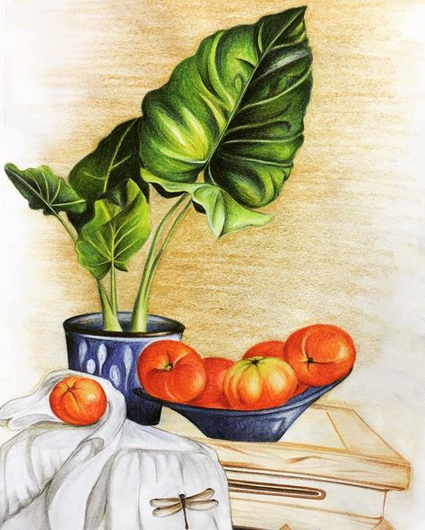 Beautiful still life painting in pencil colours done by Vruta. . . #stilllife #pencilcolor #staedtler #drawing #nature #beautiful #colorful… Oil Pastel Still Life For Beginners, Still Life Drawing With Pencil Colour, Colour Pencil Still Life Drawings, Colour Composition Paintings, Still Life Composition Drawings, Still Life Colour Pencil, Steel Life Painting, Steel Life Drawing, Still Life Drawing Colour