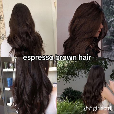 Espresso Brown Hair Color, Espresso Brown Hair, Espresso Hair Color, Bridget Bardot, Brown Hair Looks, Brown Hair Inspo, Hair Tint, Brown Hair Color, Hairstyles For Layered Hair