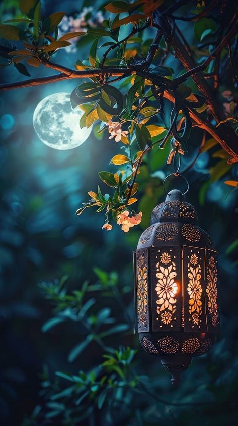 Hanging Glowing Ramadan celebration lantern lighting nature night. | free image by rawpixel.com / Darakoon Jaktreemongkol Light Night Wallpaper, Pics To Hang On Wall, Beautiful Nature Night, Night Light Wallpaper, Ramadan Background Design, Islamic Background Images, Islamic Nature, Glowing Wallpaper, Good Night Pic