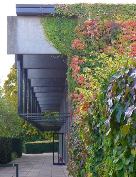 University Photos, Danish Architecture, University Architecture, Scandinavian Architecture, Conference Center, St Catherine, Arne Jacobsen, Oxford University, Furniture Designer