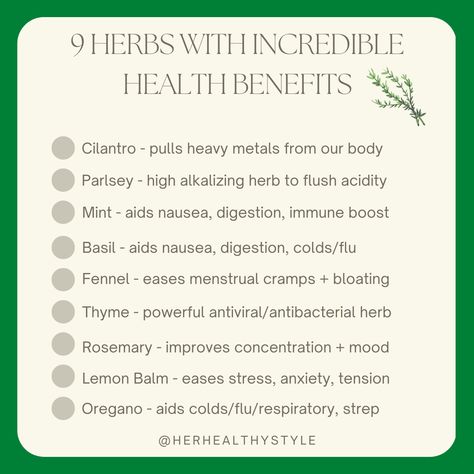 Hyssop Herb Benefits, Worm Wood Herb Benefits, Herbs For Gut Healing, Herbs For Brain Health, Salvia Benefits, Lemon Balm Uses Benefits Of, Herbs For Gut Health, Mullen Herb Benefits, Learning Medicine