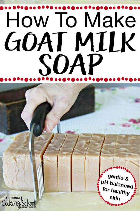 Make Goats Milk Soap, Making Goat Milk Soap Easy Diy, Goat Milk Cold Process Soap Recipes, Basic Goat Milk Soap Recipe, Fresh Goat Milk Soap Recipe, Raw Goat Milk Soap Recipe, Benefits Of Goats Milk Soap, Diy Goats Milk Soap Recipes, Goat Milk Uses