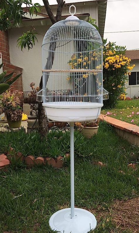 Amazon.com : Round Bird Hook Cage with Stand for Finch Canary Cockatiel Parakeet Dome Top, Cage Only Dimension: 16" Diameter x 28" H, Cage and Stand: 16" D X 57" H (16" D X 57" H, White) : Pet Supplies White Budgie, Canary Cage, Love Birds Pet, Budgie Cage, Diy Bird Cage, Bird Cages For Sale, Bird Cage Design, Round Bird, Bird Cage Stand