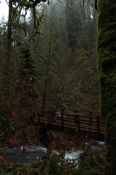 Oregon Woods Aesthetic, Oregon Dark Aesthetic, Abandoned Places Oregon, Oregon Lake House, Dark Oregon Aesthetic, Oregon Small Town Aesthetic, Oregon Home Aesthetic, Ashland Oregon Aesthetic, Oregon Town Aesthetic