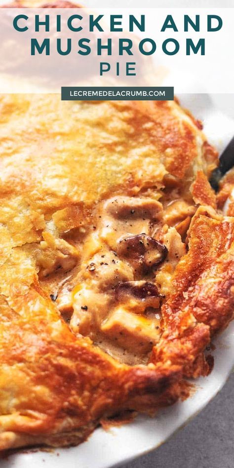 Chicken Cheese Pie, Chicken Pie Pot Recipe, Chicken Pies Recipes Easy, Savoury Pie Filling Recipes, Chicken And Mushroom Pot Pie Recipe, Creamy Chicken And Mushroom Pie, Chicken Bacon Pot Pie, Chicken And Mushroom Pot Pie, Chicken Pot Pie With Mushrooms