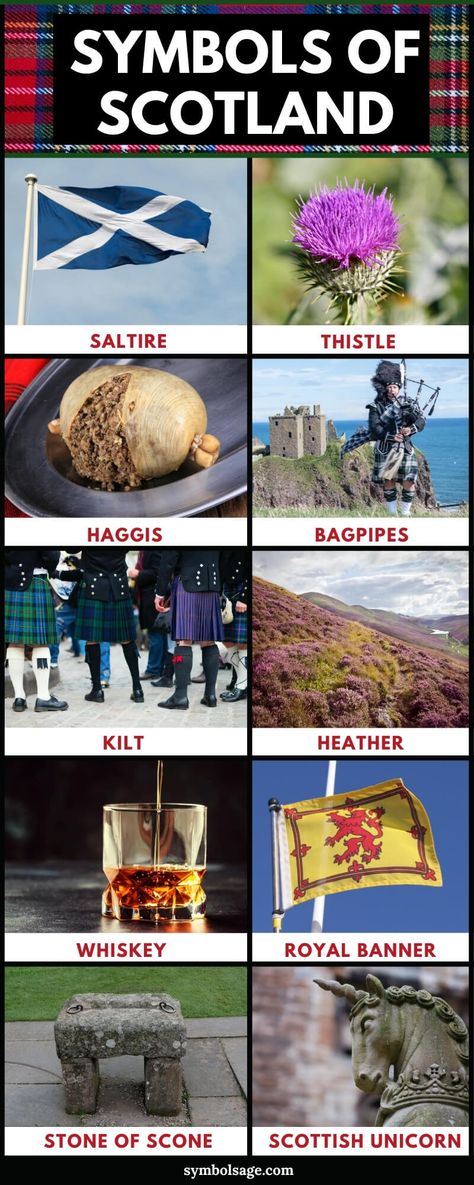 Irish Scottish Heritage, All Things Scottish, Scottish Souvenirs, Scotish Highlanders, Scotland Symbols, Scottish Aesthetic, Scottish Traditions, Scottish Unicorn, Scottish Games