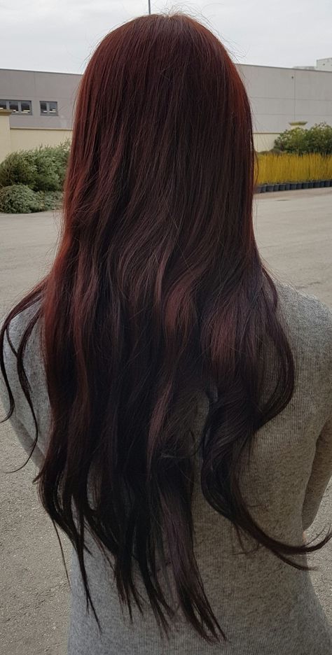 Indian henna #henné #henna #redhair #hennahair Indian Hair Highlights, Curly Indian Hair, Indian Hair Oil, Hair Color For Tan Skin, Indian Hair Accessories, Indian Hair Care, Indian Hair Color, Rasta Hair, Hair Henna