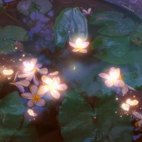 ♡ Alliecat ♡ (@Silken_Roses) / Twitter Ethereal Aesthetic, Fairy Aesthetic, Magic Aesthetic, Ethereal Art, Nature Aesthetic, Water Lilies, Pretty Flowers, Pretty Pictures, Aesthetic Art