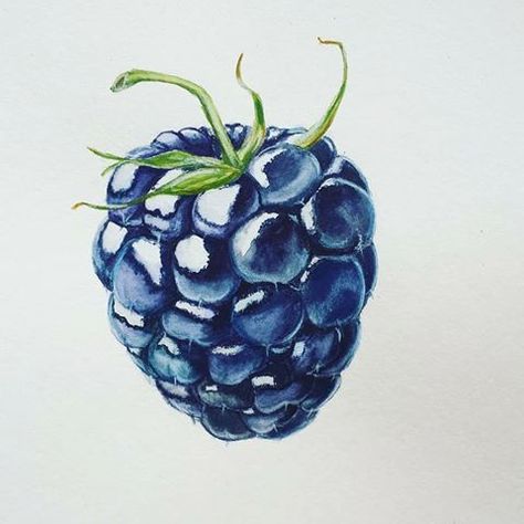 Fruit Art Drawings, Prismacolor Art, Fruits Drawing, Colored Pencil Artwork, Watercolor Fruit, Cat Air, 수채화 그림, Drawing Inspo, Pencil Art Drawings