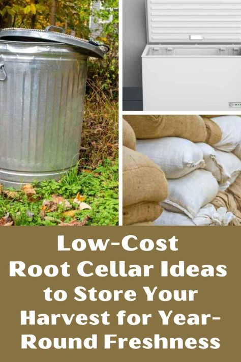 Low Cost Root Cellar Ideas to Store Your Harvest for Year-Round Freshness Small Root Cellar Ideas, How To Build A Cellar, Root Cellar Alternatives, Root Cellar Ideas Basement, Building A Root Cellar, Cellar Ideas, Root Cellar Storage Ideas, Root Cellars, Trash Can Root Cellar