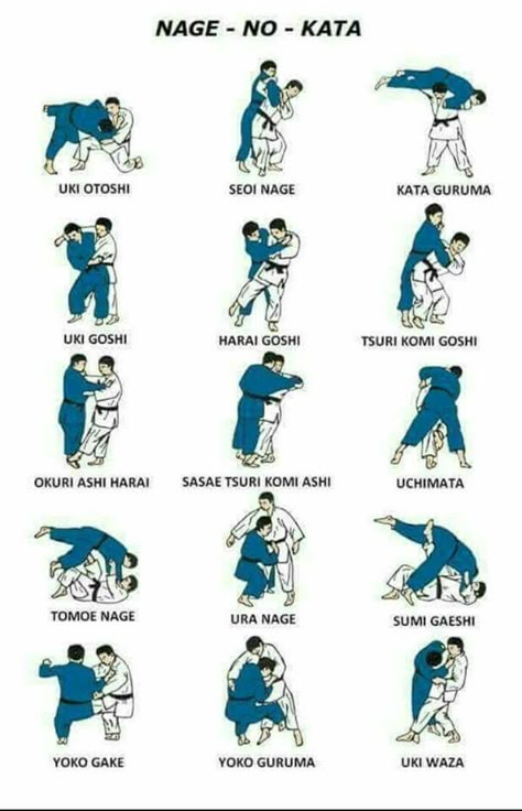 Systema Martial Art, Jiu Jitsu Frases, Judo Training, Karate Moves, Martial Arts Sparring, Jiu Jitsu Techniques, Judo Karate, Kyokushin Karate, Best Martial Arts