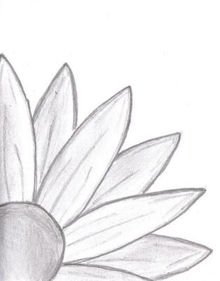 Doodle Daisy Drawing: I started drawing and ended up with this...  a daisy peeking out at the new world, seemingly shy at first.  I guess you would call it a daisy doodle. Easy Pencil Drawings, Daisy Drawing, Easy Drawings For Beginners, Drawing Hands, Drawing Eyes, Drawing Hair, Drawing Faces, Pencil Drawings Easy, Easy Drawings Sketches